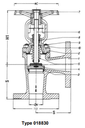 bellow sealed globe valves, PN 40/DN50 straight type or angle type