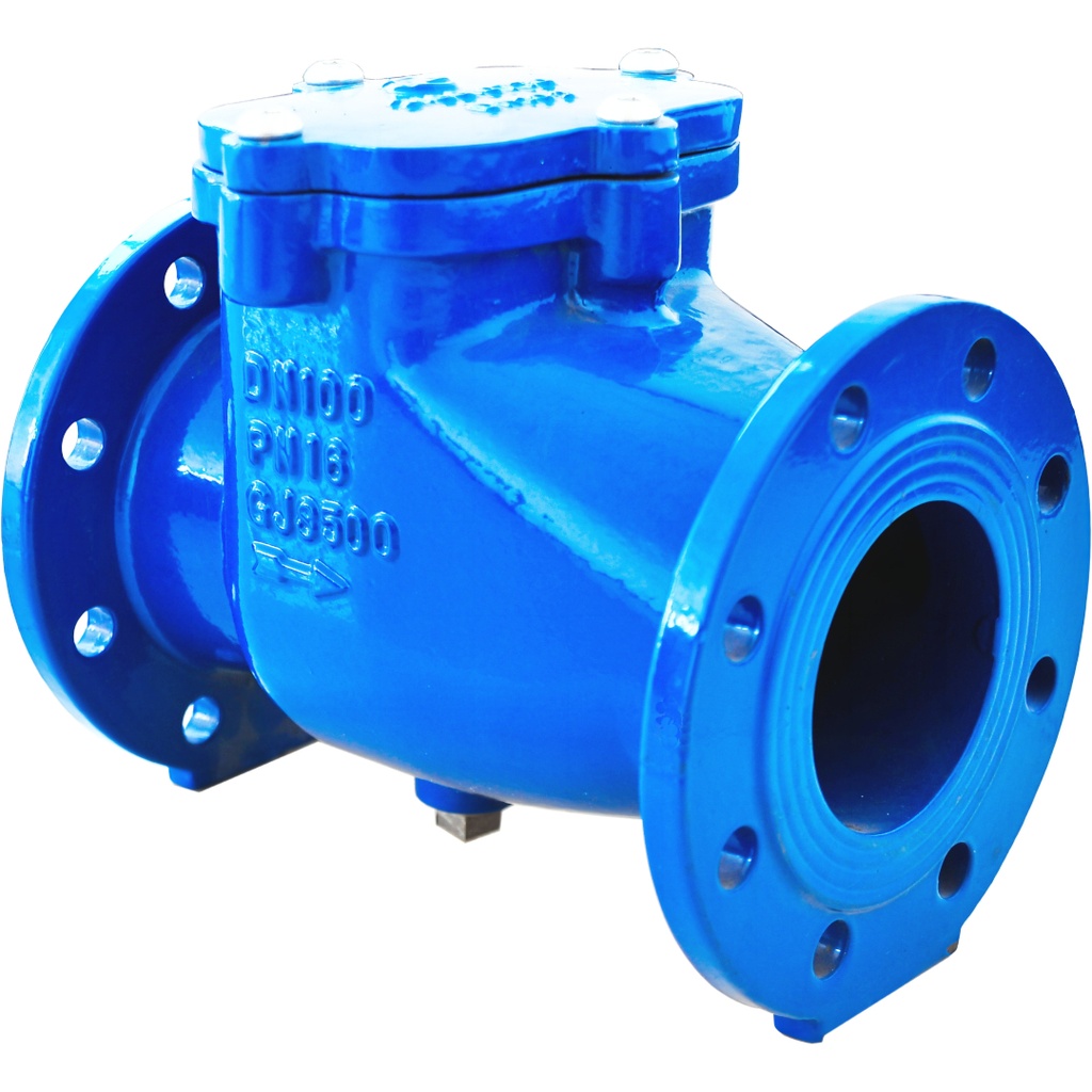 DUCTILE IRON CHECK V. 357 PN10 DN300 CF8M EPDM Swing plate  