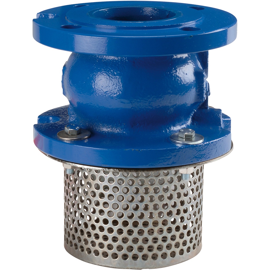FOOT VALVE 363 PN16 DN250 Check V.366 +Carbon st. strainer basket  