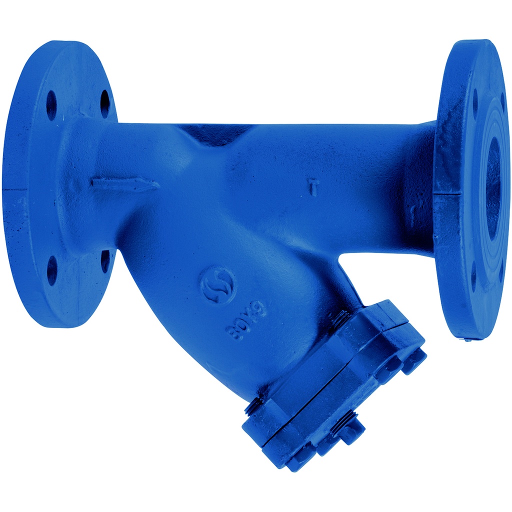 CAST IRON Y-STRAINER 221 PN16 DN25 SILICONE ACRYLIC COATED / F304 SCREEN  